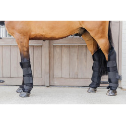 Stable Boots PROtect für Vorderbeine lange Version Kentucky Schwarz Stable Boots PROtect für Vorderbeine lange Version Kentucky Schwarz