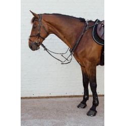 Geflochtener Kombinierter Nasenriemen New English Collection Dy'on Schwarz