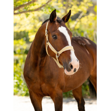 Halfter LeMieux Versailles Mimosa