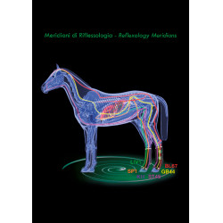 Therapeutische Gamaschen Zandona Air hinten Therapeutische Gamaschen Zandona Air hinten