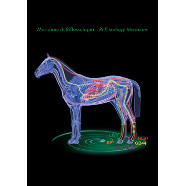 Therapeutische Gamaschen Zandona Air hinten Therapeutische Gamaschen Zandona Air hinten