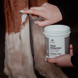 Reparierende Creme Ekinat Reparierende Creme Ekinat