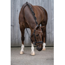 Bridon Kopenhagen HKM Schwarz