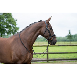 Bridon Kopenhagen HKM Schwarz