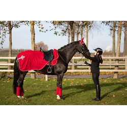 Polo-Bandagen HFI Velvet Rot