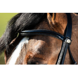 Brida convertible brida Weymouth HFI Schwarz / schwarz Brida convertible brida Weymouth HFI Schwarz / schwarz