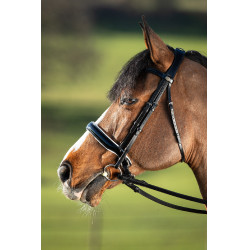 Brida convertible brida Weymouth HFI Schwarz / schwarz Brida convertible brida Weymouth HFI Schwarz / schwarz