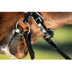 Brida convertible brida Weymouth HFI Schwarz / schwarz Brida convertible brida Weymouth HFI Schwarz / schwarz