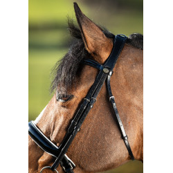 Brida convertible brida Weymouth HFI Schwarz / schwarz Brida convertible brida Weymouth HFI Schwarz / schwarz