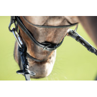 Trensenzaum Comfort HFI Schwarz Trensenzaum Comfort HFI Schwarz