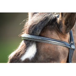 Trensenzaum Comfort HFI Schwarz Trensenzaum Comfort HFI Schwarz