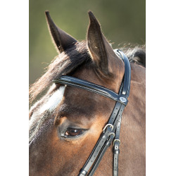 Trensenzaum Comfort HFI Schwarz Trensenzaum Comfort HFI Schwarz