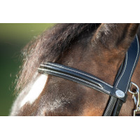 Funktioneller HFI-Zaum Schwarz Funktioneller HFI-Zaum Schwarz