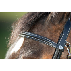 Funktioneller HFI-Zaum Schwarz