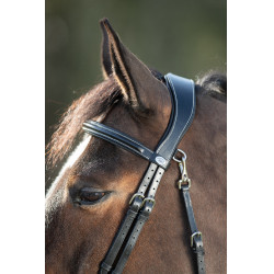 Funktioneller HFI-Zaum Schwarz