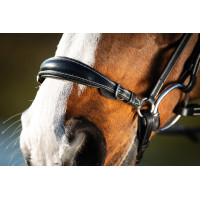 Trensenzaum German HFI Schwarz