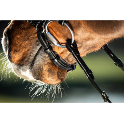 Trensenzaum German HFI Schwarz