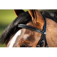 Trensenzaum German HFI Braun