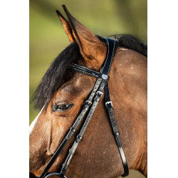 Trensenzaum German HFI Schwarz