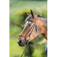 Trensenzaum German HFI Braun