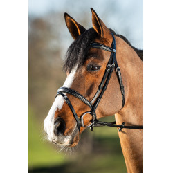 Bridon HFI Elegant Schwarz