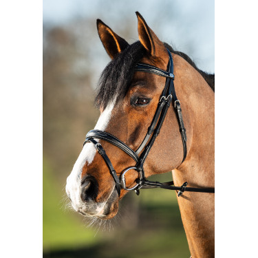 Bridon HFI Elegant Schwarz