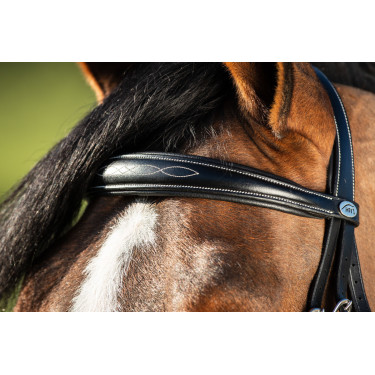 Bridon HFI Elegant Schwarz Bridon HFI Elegant Schwarz
