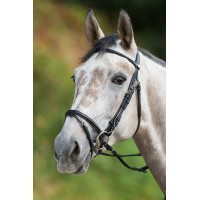 Bridon HFI Regular Schwarz