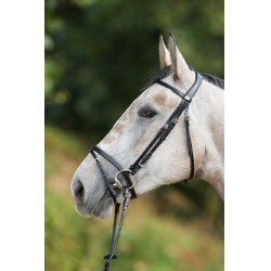 Bridon HFI Regular Schwarz