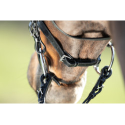 Bridon HFI Regular Schwarz