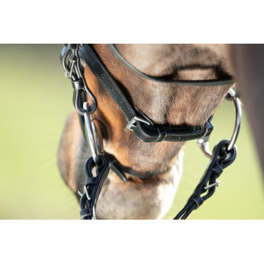 Bridon HFI Regular Schwarz