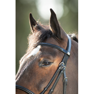 Bridon HFI Regular Schwarz