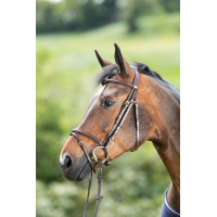 Bridon HFI Regular Schwarz