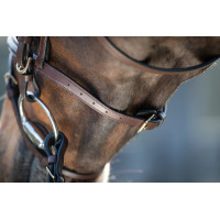 Bridon HFI Regular Schwarz
