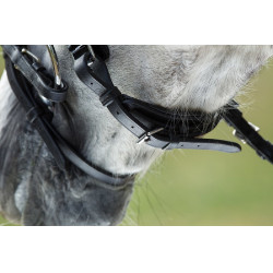 Luxus-Zaumzeug HFI Schwarz Luxus-Zaumzeug HFI Schwarz