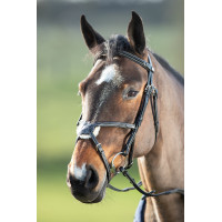 Mexikanisches HFI-Zaumzeug Schwarz Mexikanisches HFI-Zaumzeug Schwarz