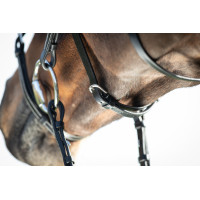 Mexikanisches HFI-Zaumzeug Schwarz Mexikanisches HFI-Zaumzeug Schwarz