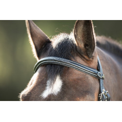 Mexikanisches HFI-Zaumzeug Schwarz