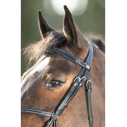 Mexikanisches HFI-Zaumzeug Schwarz