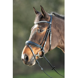Bridon Shiny HFI Schwarz