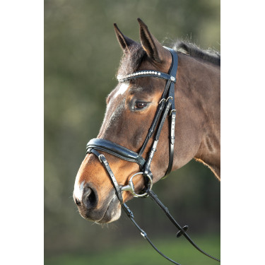 Bridon Shiny HFI Schwarz