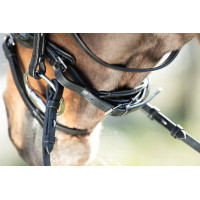 Bridon Shiny HFI Schwarz