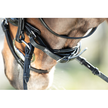 Bridon Shiny HFI Schwarz