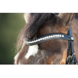 Bridon Shiny HFI Schwarz Bridon Shiny HFI Schwarz