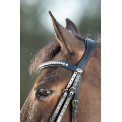 Bridon Shiny HFI Schwarz Bridon Shiny HFI Schwarz