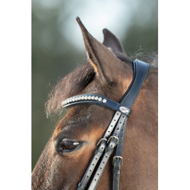 Bridon Shiny HFI Schwarz