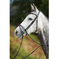 Trensenzaum Sparkly HFI