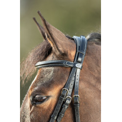 Bridon Technical HFI Schwarz