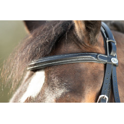 Bridon Technical HFI Schwarz