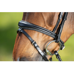 Bridon Technical HFI Schwarz